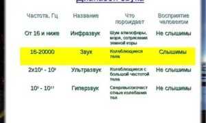Звук какой частоты воспринимает человеческое ухо