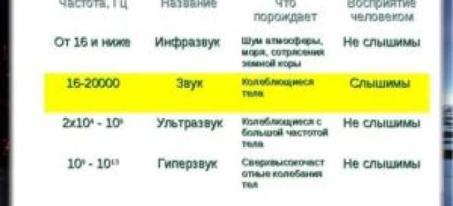 Звук какой частоты воспринимает человеческое ухо