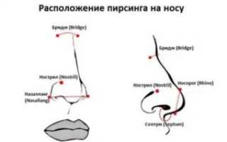 Как называется прокол в носу
